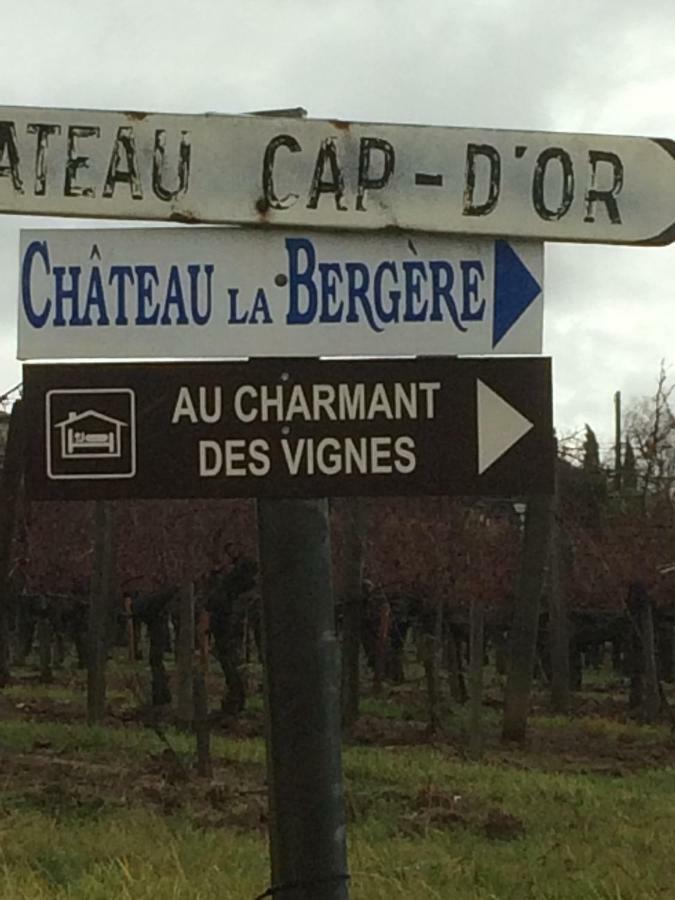 Au Charmant Des Vignes Монтан Екстериор снимка